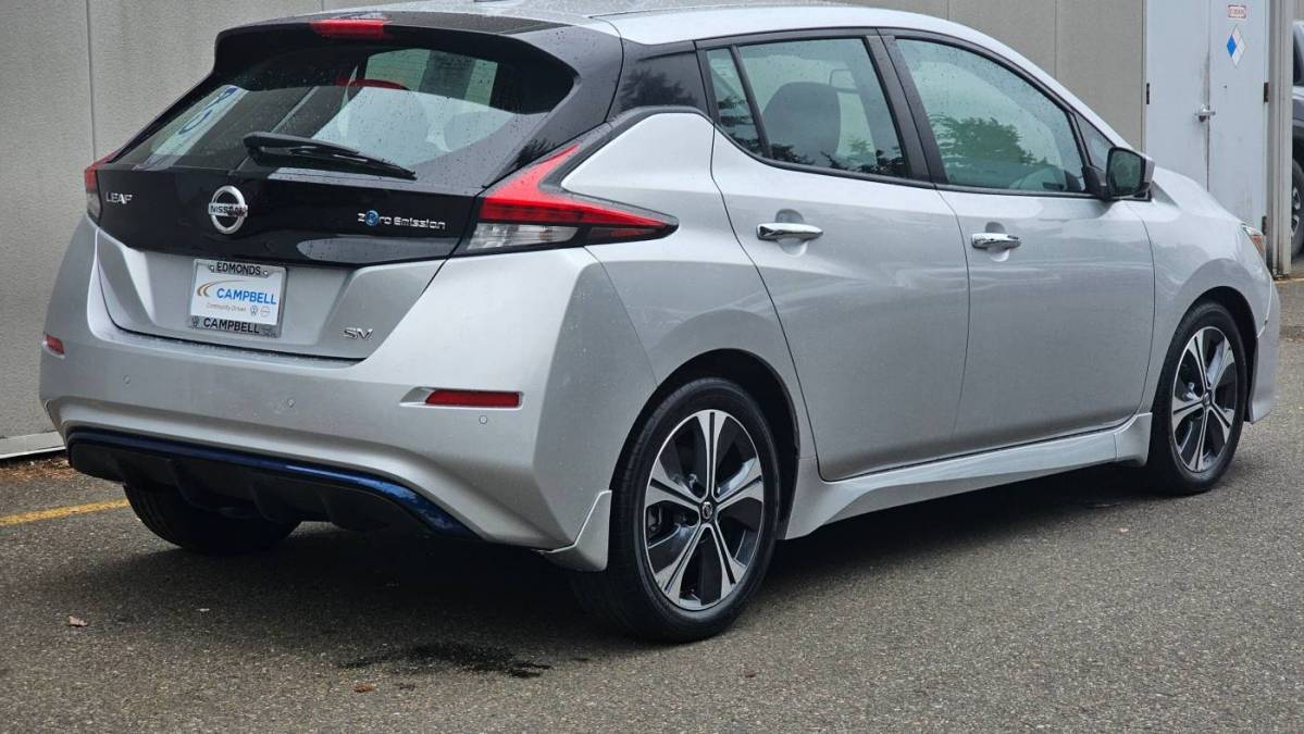 2020 Nissan LEAF 1N4AZ1CPXLC308763